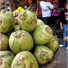 The Master of the Coconut