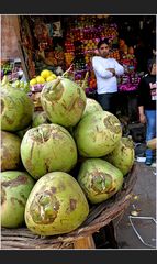 The Master of the Coconut