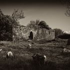 The Medieval Church and Graveyard...