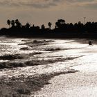 the mediteranean sea, seen in bw