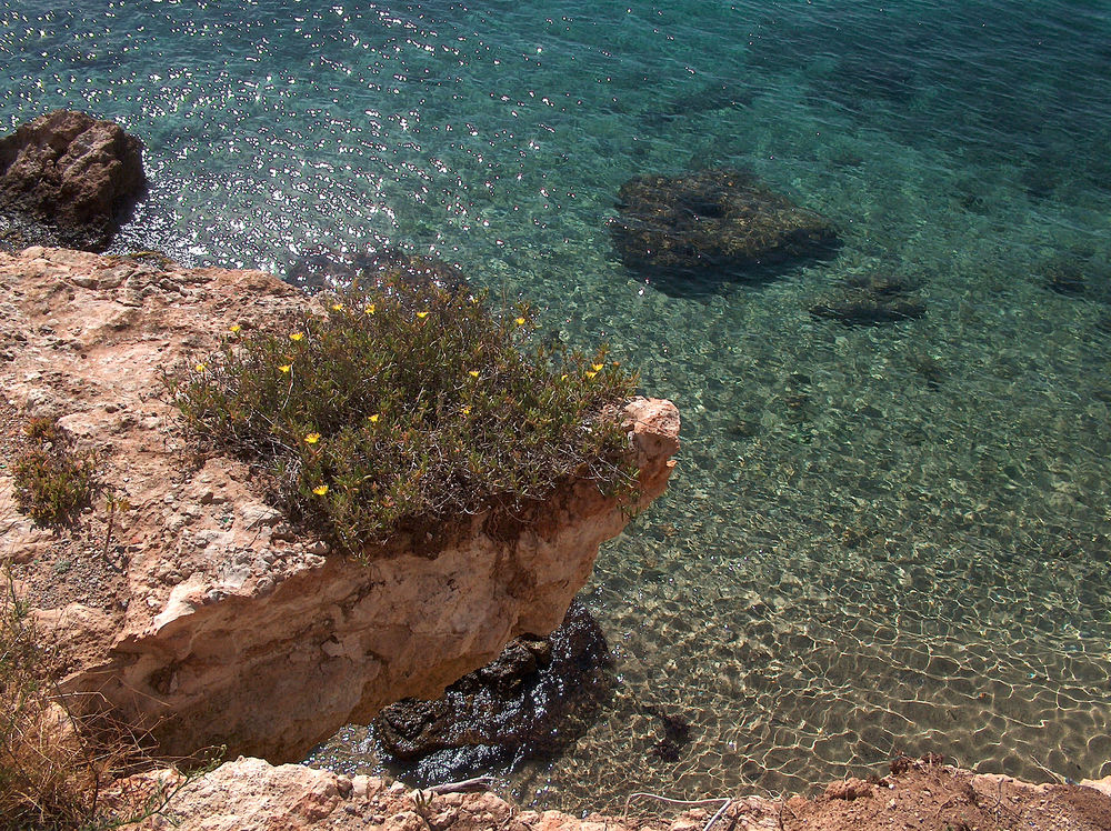 The Mediterranean ~ Ibiza