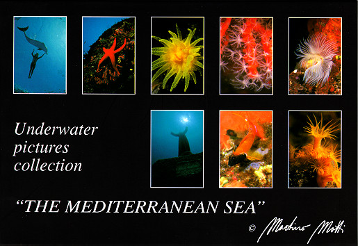 "The Mediterranean Sea" Underwater Picture Collection