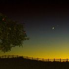 the meeting of moon & venus by the apple tree