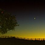 the meeting of moon & venus by the apple tree