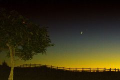 the meeting of moon & venus by the apple tree