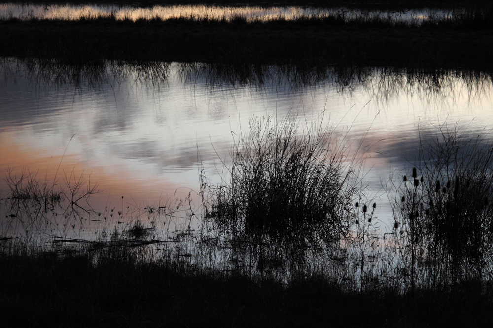 The melancholy hour of a winter twilight of a fading year.