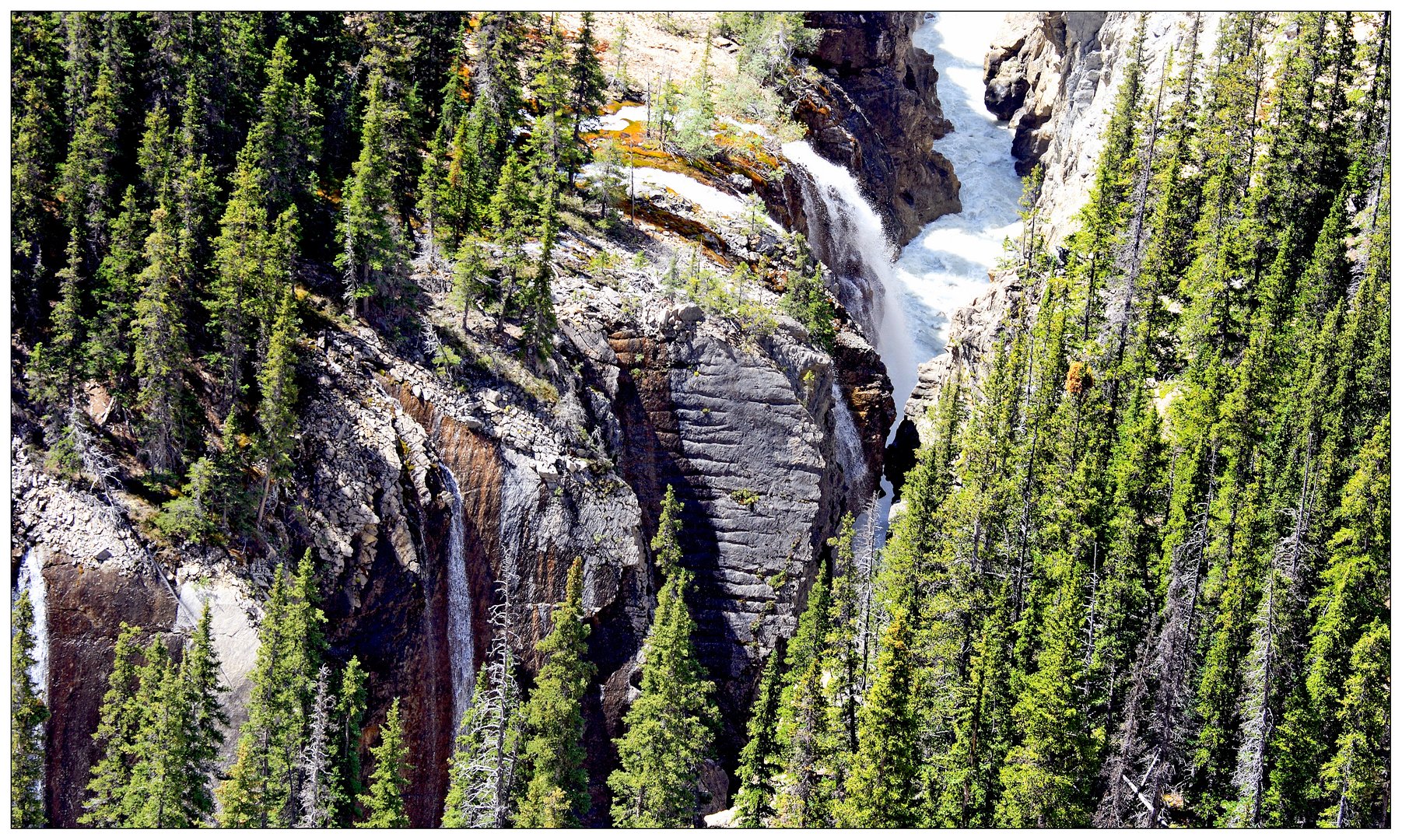 the meltwaters of Columbia Icefield - a million tributary streams feeding 3 oceans