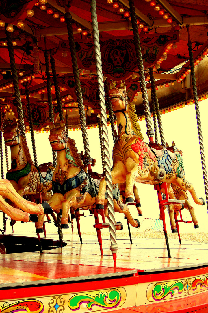 the merry-go-round