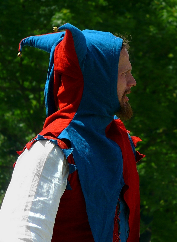 The Middle Ages (50) : Court jester