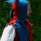 The Middle Ages (50) : Court jester