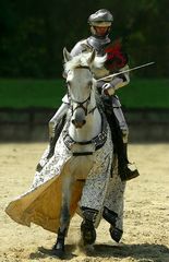The Middle Ages (53) : Knight