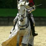 The Middle Ages (53) : Knight