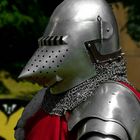 The Middle Ages (57) : Knight