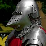 The Middle Ages (57) : Knight