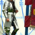 The Middle Ages (75) : Knight