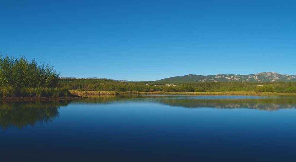 the mighty yukon river 