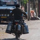 the milkman of Ankleshwar