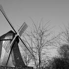 The Mill