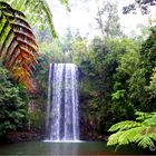 *** The Millaa Millaa Falls ***