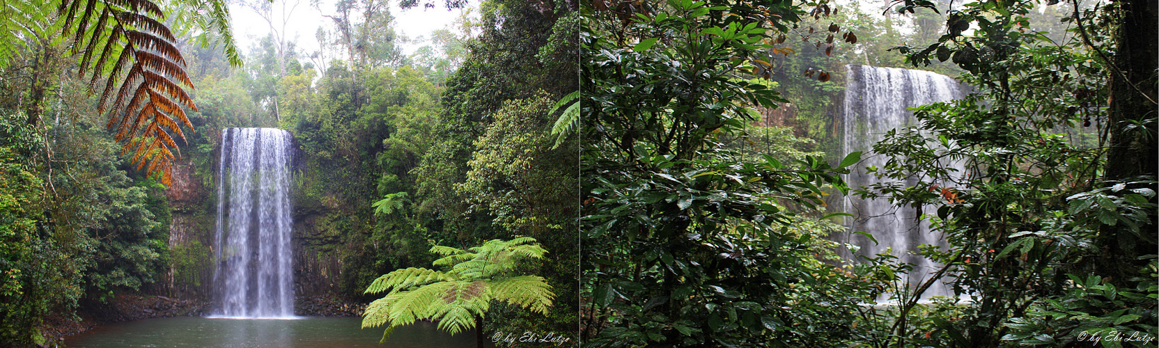 ** The Millaa Millaa Falls / Atherton Table Land ** Foto & Bild
