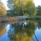 The mirror image from Colorful tree and bridge