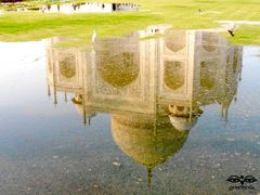 The Mirror of Taj