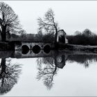 The Mirror of Winter