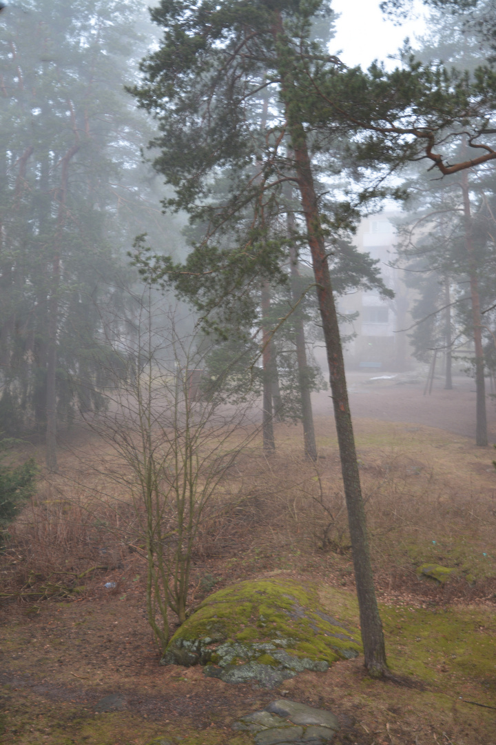 The misty sight to out from our balcony 