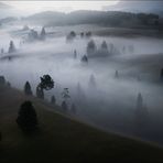 [ ... the misty valley ]