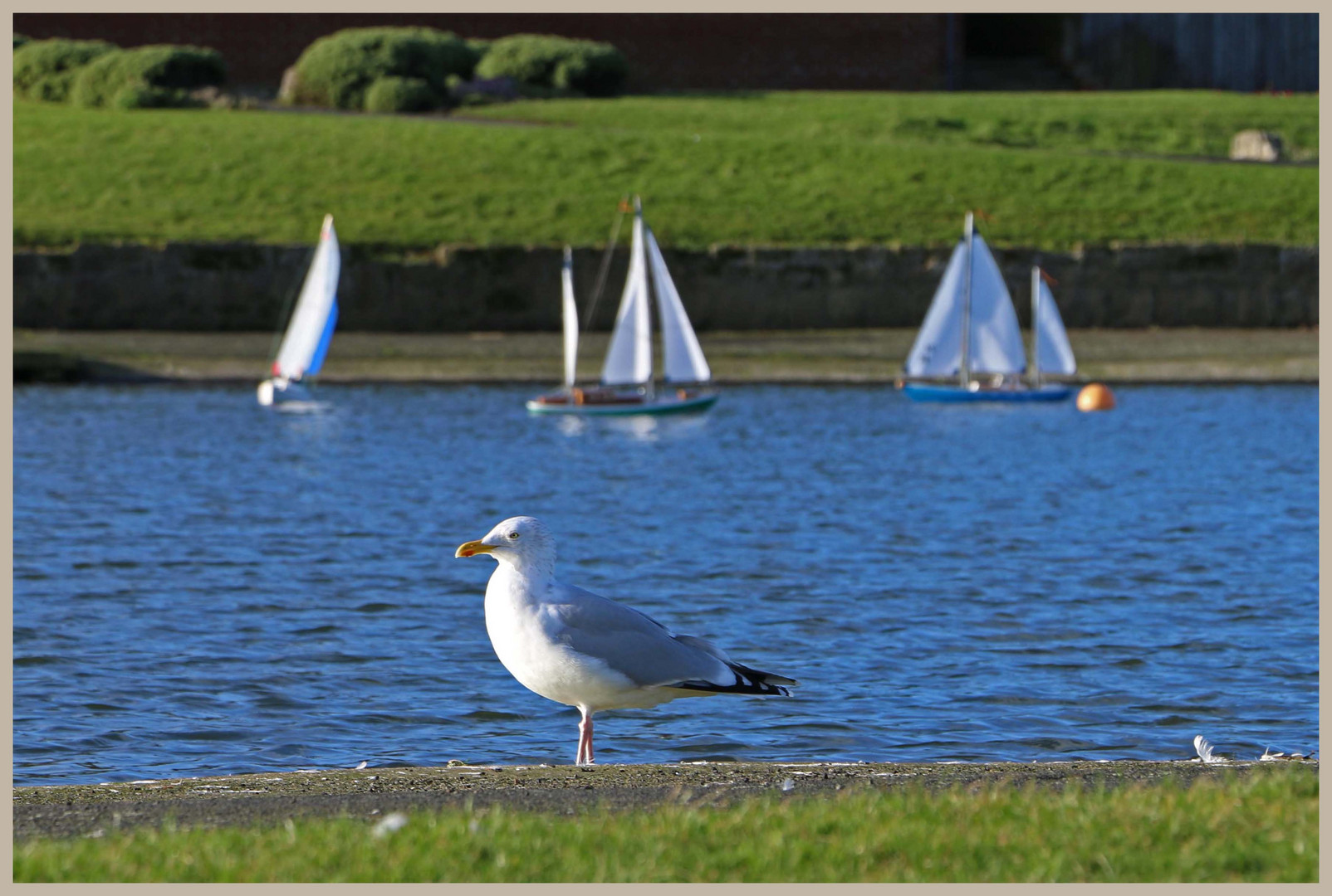 the model boat club 9 at tynemouth