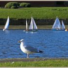 the model boat club 9 at tynemouth