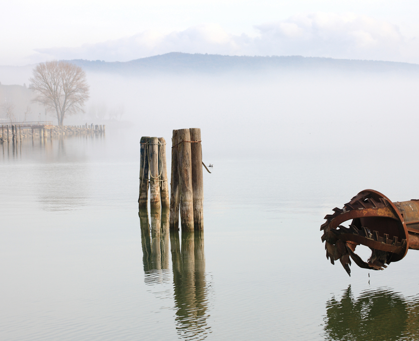 The monster of the lake