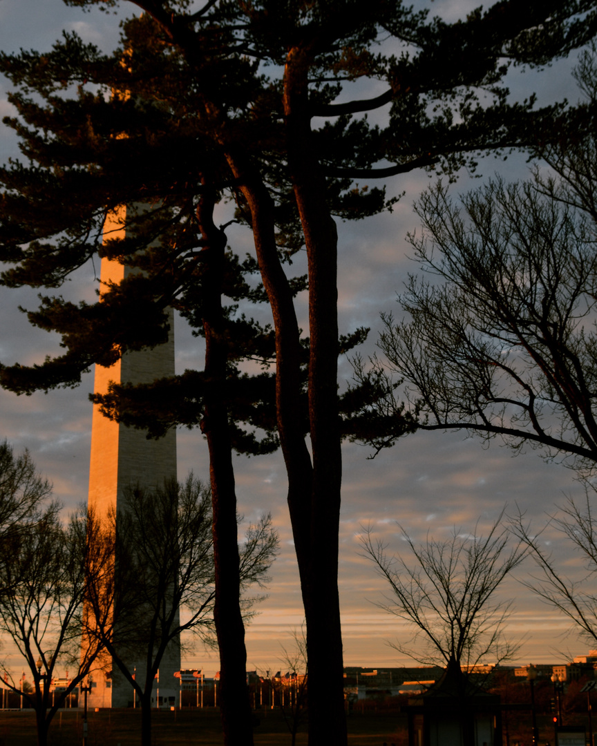 The Monument.