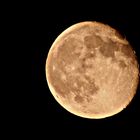 The moon