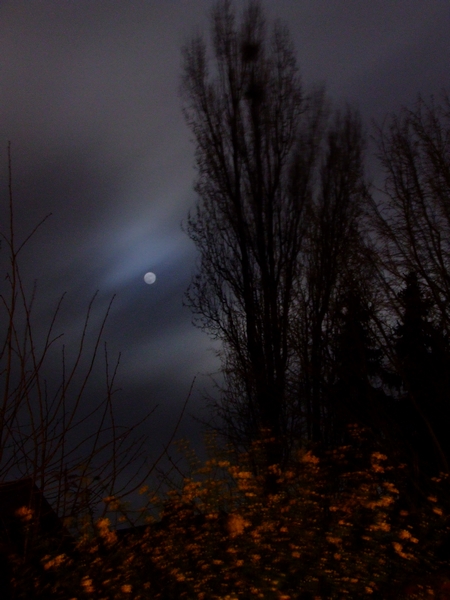 The Moon as a Mirrorball