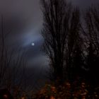 The Moon as a Mirrorball