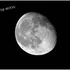 The Moon