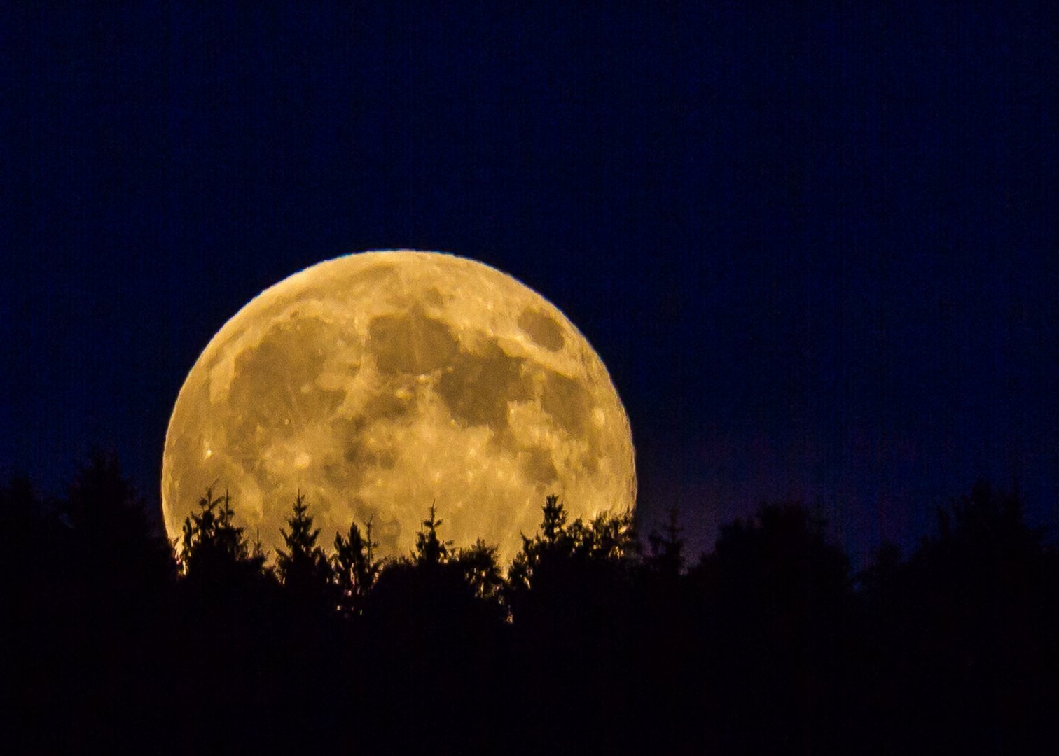 The Moon in July 2014