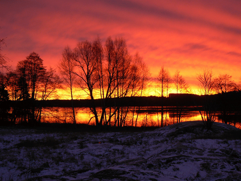 The morning after the storm