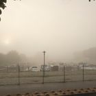 The Morning-Fog