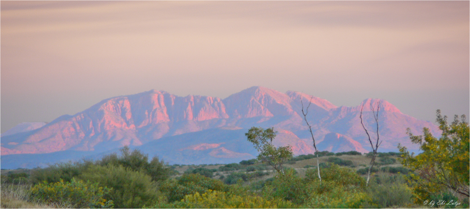 ** The Morning Hues of Australia **