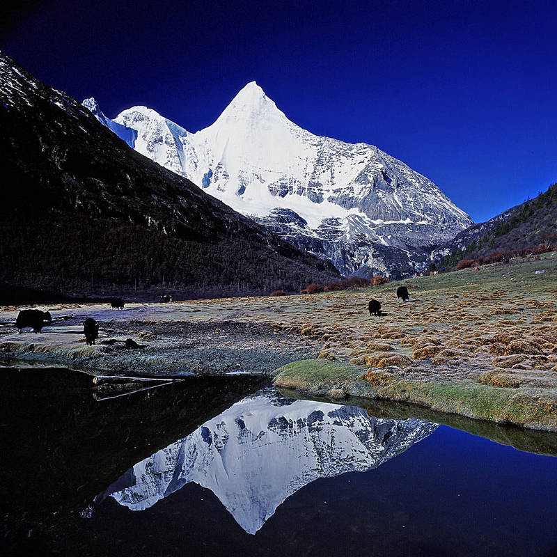 THE MORNING OF THE LUORONG PASTURE