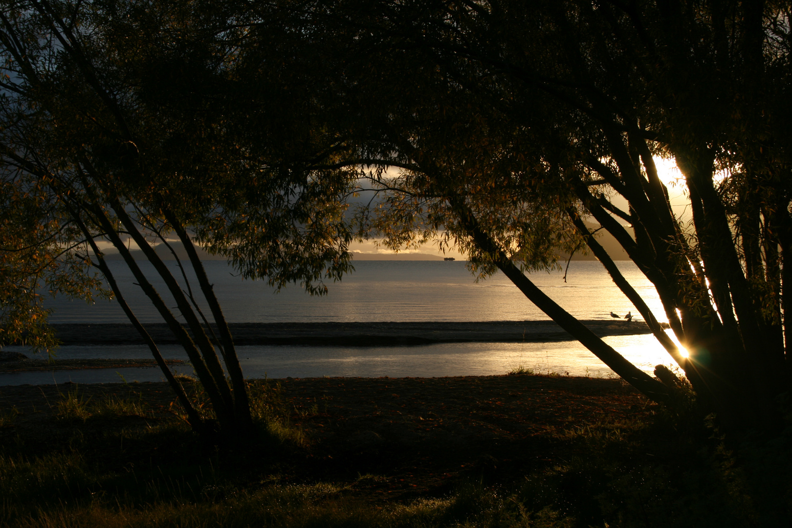 The morning sun at Lake Taupo