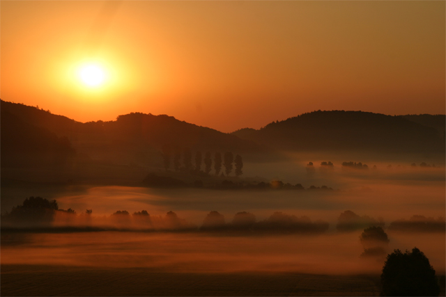 The morning sun fog