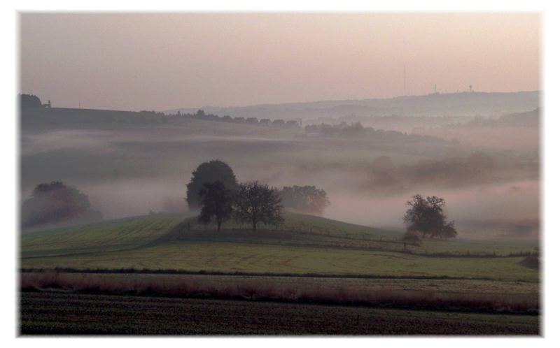 the morning sun touch gentle on....