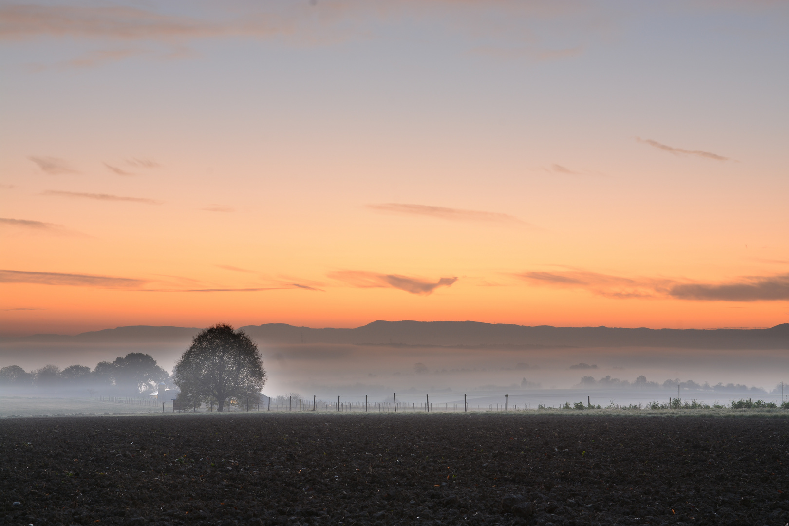 the morning wakes