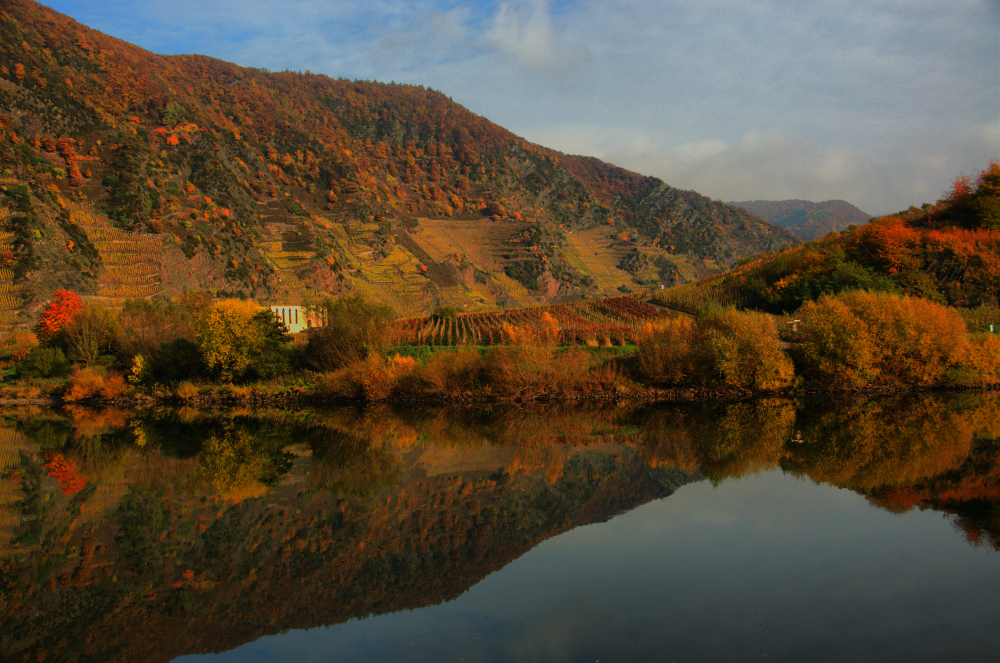 The Mosel River