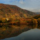 The Mosel River