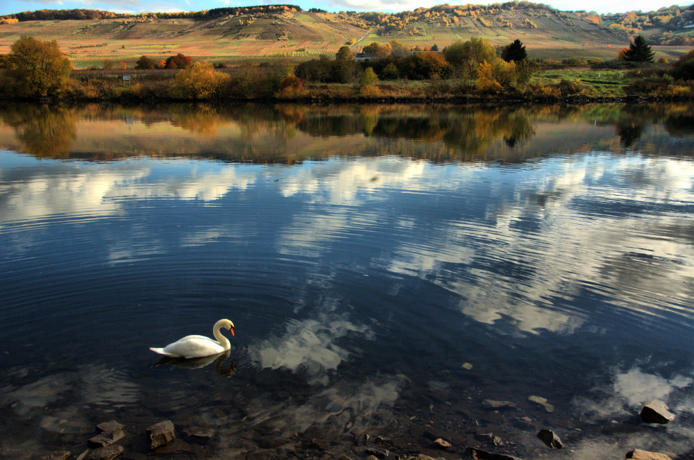 The Mosel river I