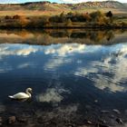 The Mosel river I